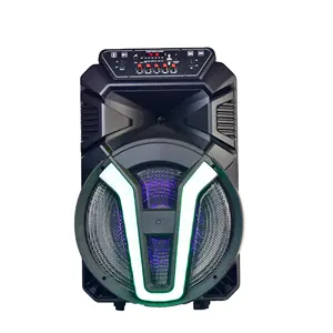 15 "Zoll 100W Big Power Outdoor Karaoke Trolley Lautsprecher Subwoofer tragbarer BT Lautsprecher mit drahtlosem Mikrofon