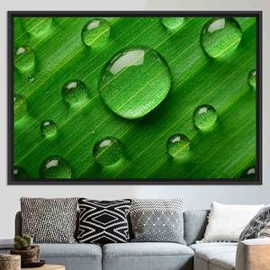 Toile imprimée : Décoration murale verte style ferme avec motif floral goutte d'eau, toile encadrée noire - Product Image 1