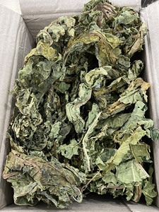 ขายส่งใบมะละกอแห้งจากโรงงานโดยตรง ใบมะละกอ Carica Papaya จำนวนมาก สำหรับทำชา ชาแบบซอง ชาแบบใบหลวม และฉลากส่วนตัว - Product Image 4