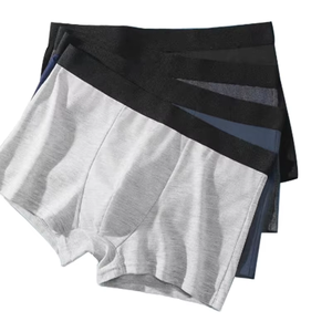 Calzoncillos Cortos Personalizados con Logotipo para Hombre, 5 Pulgadas de Largo, Tallas Grandes, Ropa Interior Masculina, Bóxers de Algodón, Envío DDP - Product Image 5