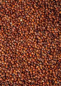 Graines de quinoa blanches naturelles, séchées, en vrac, pour la cuisine, la pâtisserie et la préparation des repas, en vente - Product Image 3
