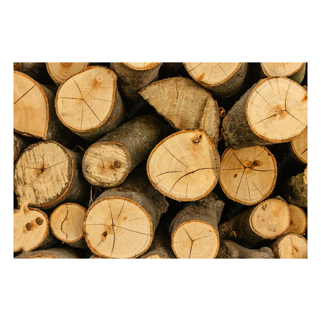 Toras de madeira baratas, toras de madeira de pinho e toras de madeira para venda, madeiras de alta qualidade disponíveis para venda