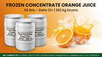 WELL ALIMENTS Sinaasappelsapconcentraat BRAZILIË - Diepvries 66 Brix Sao Paulo Oorsprong 100% Zuiver 24 Maanden Houdbaarheid in vat 262kg