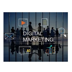 Meilleurs tarifs conçus Indiens Utilisation professionnelle des entreprises-Site Web Marketing numérique Logiciel de publicité Compatible - Product Image 2