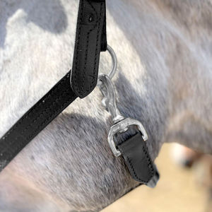 Nouvelle mode cuir équitation licous qualité supérieure cheval licou confortable meilleur haut fabricant - Product Image 5