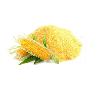 Maïs jaune Maïs-Vente en gros de maïs jaune doux français pour l'alimentation animale - Product Image 5