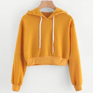 เสื้อฮู้ดครอปแขนยาวทรงคลาสสิกสุดฮิตปี 2024 บุซับในอย่างดี คุณภาพสูง ผลิตตามสั่ง ผ้าฟลีซถัก ปักลายด้วยเทคนิคพิเศษ สำหรับฤดูหนาว - Product Image 1