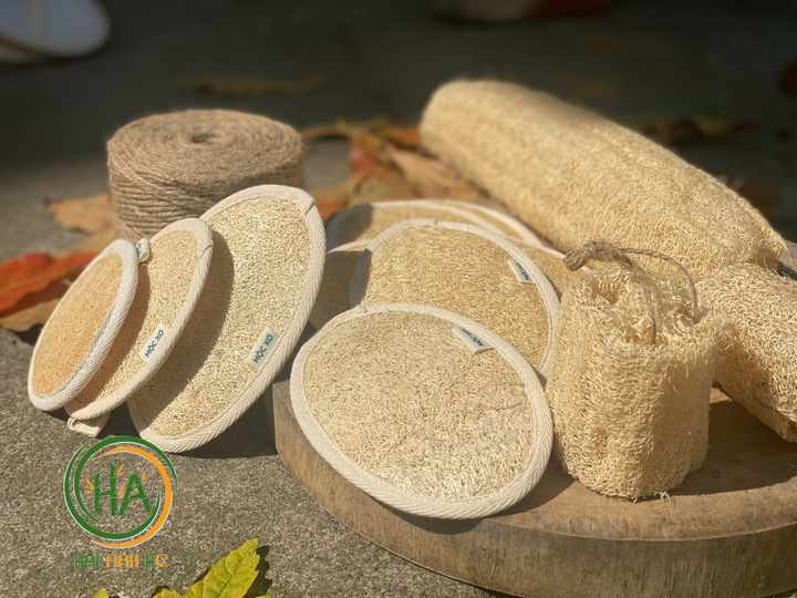 Raw Loofah High Quality From Vietnam - Best Price Luffa 100% Natural Cheap With Export Standard