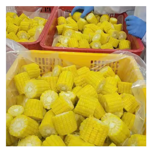 Granos de maíz congelados IQF-cosechados en Vietnam, empaquetados para uso a granel en fábricas de alimentos y cocinas por 99 Gold Data - Product Image 5
