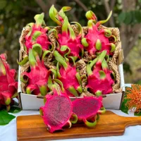 Top Verkoop Rode Draak Fruit Pitaya Fruit Beste Prijs Verse Dragon Fruit Fabrikant Uit Vietnam Mr Alvin