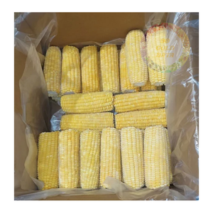 Proveedor de maíz congelado de Vietnam: exportación directa de fábrica, precios competitivos y suministro confiable a granel - Product Image 4