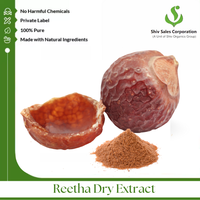 Bubuk Ekstrak Kering Soapberry Kelas Premium untuk Perawatan Rambut, Formula Kulit, Kualitas Kosmetik, Kuantitas Besar untuk Unit Manufaktur