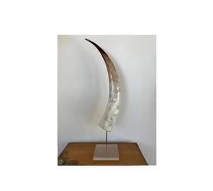 Pièce d'art authentique en corne de buffle sur support, accent décoratif pour le salon ou l'exposition de mariage - Product Image 6