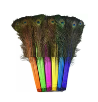 Bouquet de Plumes de Paon Vertes Naturelles (Brutes/Teintes) avec Emballage Boîte pour Mariage, Fête, Costume et Décoration Intérieure