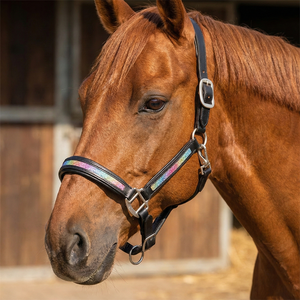 Silla de montar inglesa de cuero negro con brillo arcoíris en la narigueira y las patillas, herrajes plateados ajustables, elegante para equitación. - Product Image 1