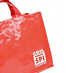 PP Woven Shopping Bags with Hook & Loop Closure and PP Webbing Handles Multi-Size <b>Box</b> <b>Packaging</b> - Product Image 4