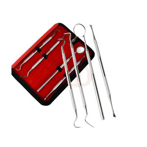 Ensemble d'examen dentaire portable avec outils de base en acier inoxydable Ensemble d'examen dentaire imprimé avec logo personnalisé - Product Image 2