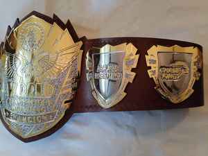 Cinturones de campeonato personalizados Trofeos Medallas y premios El símbolo definitivo de Victoria y excelencia Cinturones de Campeonato - Product Image 4