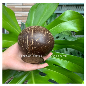 Taza de té de cáscara de coco Biodegradable 100% Natural, taza de café con logotipo láser grabado, hecha en Vietnam - Product Image 4