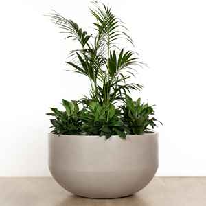 Planteur en fibre de verre de style de vie d'usine de confiance pour les plantes disponibles artisanat de haute qualité au Vietnam planteur en fibre de verre - Product Image 5