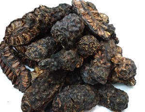 Fruit de noni séché à haute puissance-Vietnam Morinda Citrifolia, tranches d'herbes séchées en gros Noni prêt pour l'exportation à faible coût - Product Image 5