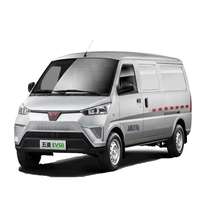 EEC Wuling Ev50 Cargo Van électrique Mini Bus 2/5/7 places Mini Cargo Van électrique La conduite à droite Van électrique
