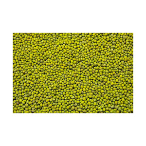 เมล็ดถั่วเขียว Vigna - Product Image 6