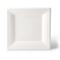 Boîtes carrées jetables écologiques compostables en canne à sucre blanches de 26x26 cm - 500 pièces/carton