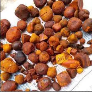 Piedras de vaca Gall, piedras de buey, listo para la exportación, precio barato