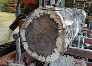 Blackheart Sassafras Troncos para muebles Blackheart Sassafras Lumber Log Supply - Product Image 5