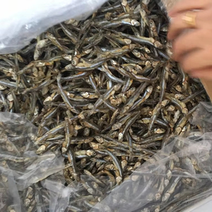 Anchoa de mariscos secos Tipo negro seco de alta calidad-WA: + 84 986778999 - Product Image 1