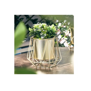 Iron Wire Gold Plated Hanging Planters with Minimalist Design Customized <b>Flower</b> Pots for Outdoor & Indoor Use-Iqbal Collection - Product Image 1