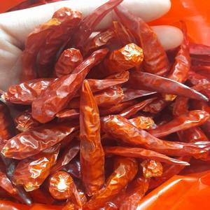 Offre Spéciale en gros naturel exportation piment rouge épicé chaud piment séché approvisionnement d'usine en stock livraison rapide - Product Image 5