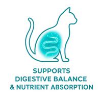 Comprimés à mâcher bio riches en protéines et probiotiques pour chiens et chats, pour la santé intestinale, la réduction des allergies et la vitalité des animaux.