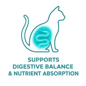 Tabletas masticables de probióticos para mascotas de alta nutrición para el bienestar intestinal, reduce las alergias y apoya la salud de las mascotas - Product Image 5