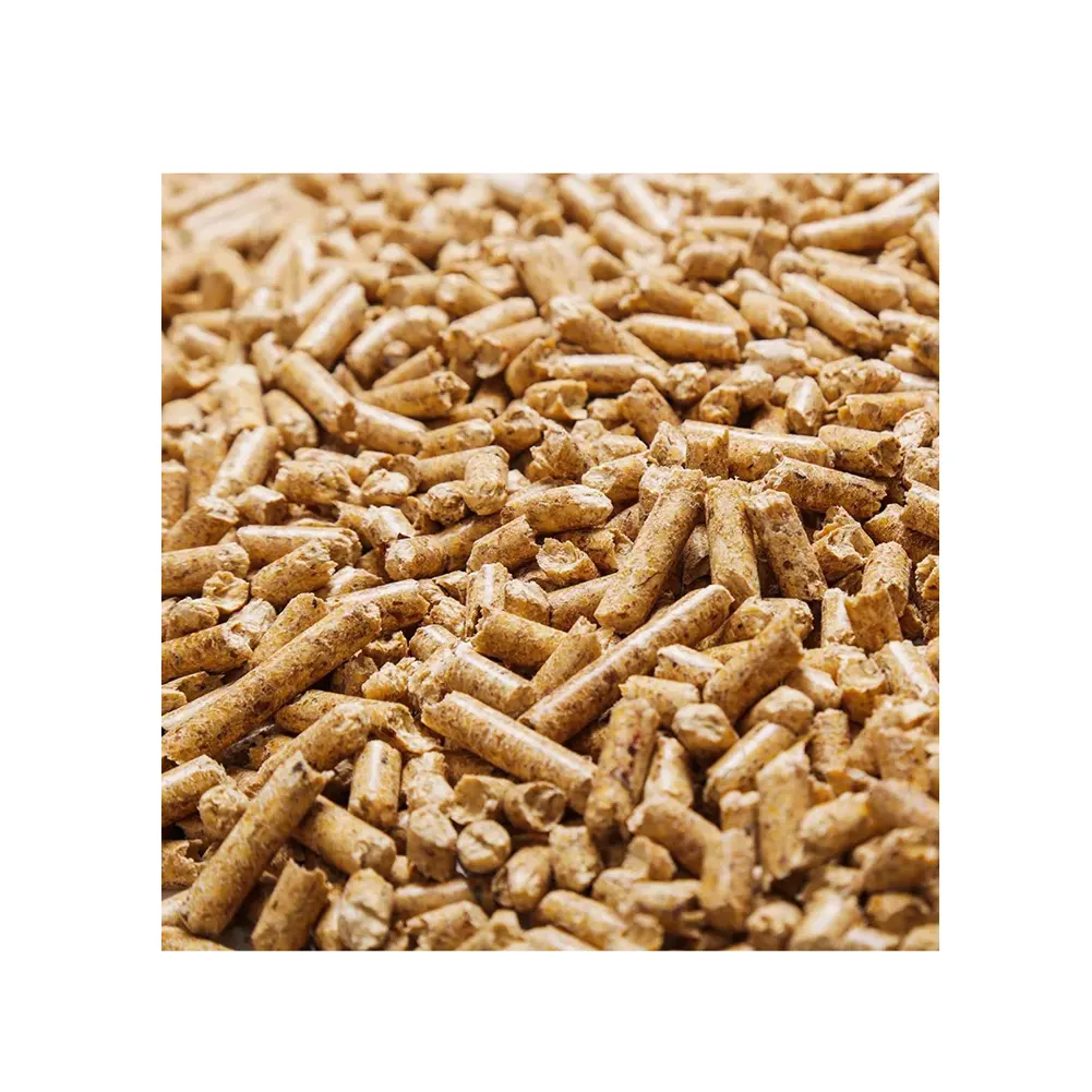 Wholesale compressed Wood Burning High Quality Hardwood fuel pellets 6mm For Pool Heater OEM Biomass Wood Pellets