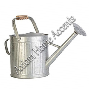 Axiom Home Accents Directo DE LA India Modern Silver Indoor & Hanging Plant Decor Hechos a mano Metal Water Can - Product Image 1