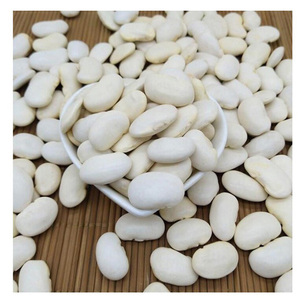Frijoles de riñón blancos Precio de fábrica Frijoles de riñón blancos Forma larga Frijoles de riñón blancos Precio Embalaje personalizado Barato al por mayor - Product Image 5