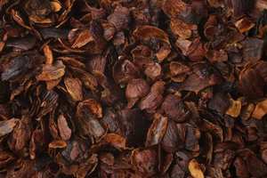 Cascarilla de café natural, materia prima versátil para agricultura e industria | Eficiente biocombustible ecológico - Product Image 2