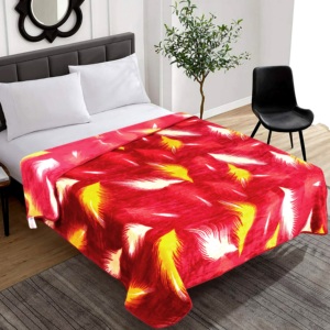Couverture Raschel 100% polyester imprimée personnalisée 2 plis double lit en vison super douce et chaude avec motif d'hiver solide - Product Image 1