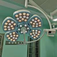 Mobile LED-Operationsleuchte mit Rollständer, Wiederaufladbarem Akku und Notfallfunktion für Tierkliniken und Chirurgie