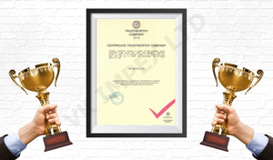 Gran oferta, cajas de fuego de inserción de leña modernas únicas, estufas de Interior de excelente calidad para el hogar, Hotel, consumo de combustible de 8,2 Kg/h - Product Image 3