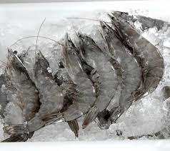 Camarones Congelados IQF Sin Piel, Empaque a Granel en Venta - Product Image 4