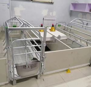 Nuevas cajas de parto de cerdos de plástico galvanizado, puesto de cama de gestación para equipo de granja, equipo de cría de animales a la venta - Product Image 6