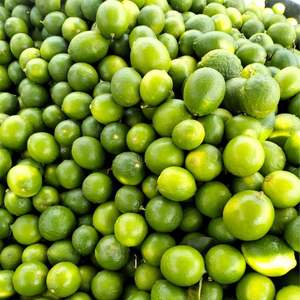 Limones Verdes Frescos Premium, Limones al por Mayor de Alta Calidad - Product Image 4