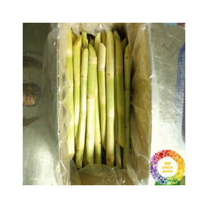 Bâtons de canne à sucre naturels surgelés faciles à manipuler et à stocker dans un emballage sous vide adapté au jus et à la cuisine - Product Image 4