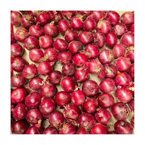 Fresh <b>Red</b> Onion 45+ mm Premium Export Quality for Food Importers and Wholesale Buyers - Product Image 3
