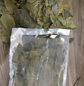 Hojas de Guanábana secas al sol puras para infusiones de hierbas frías y calientes cuidadosamente obtenidas de Vietnam - Product Image 3