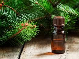 น้ำมันสนคุณภาพพรีเมียม บริสุทธิ์และเป็นธรรมชาติ 100% ออร์แกนิค ขายส่งจำนวนมาก ผู้ผลิตที่เชื่อถือได้ ส่งออกจากอินเดีย คุณภาพสูง - Product Image 4