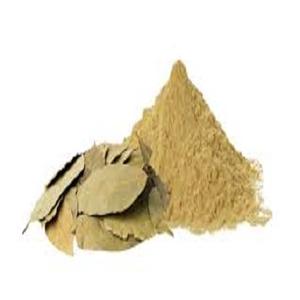 Fabricant de quantité en vrac de la meilleure qualité 100% extrait de feuilles de séné pur (10%) poudre UV au prix de gros - Product Image 3